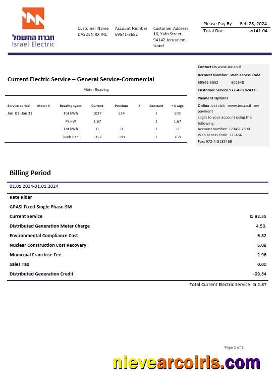 Israel Electric Corporation business utility bill